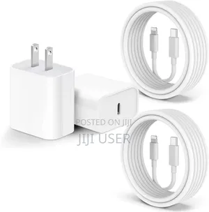 iPhone Charger