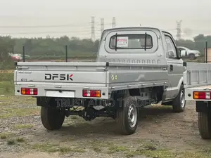 DFSK C31 Mini Truck 2025 Silver