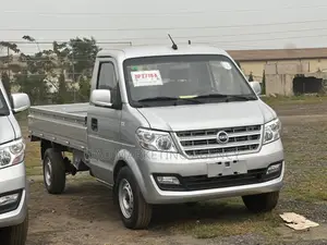DFSK C31 Mini Truck 2022 Silver