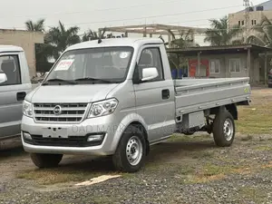 DFSK C31 Mini Truck 2022 Silver