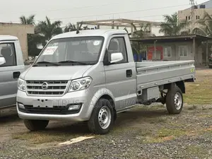 DFSK C31 Mini Truck 2025 Silver