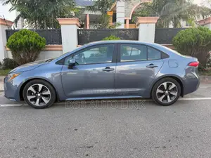 Toyota Corolla LE 2020 Gray