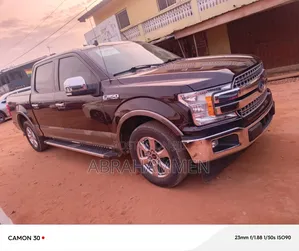 Ford F-150 2019 Brown
