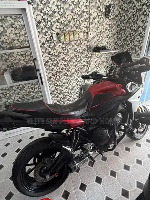 BMW S 1000 R 2019