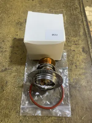 Ford F150 Engine Thermostat