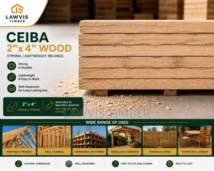 Ceiba 2x4 Timber – 50mm X 100mm – Sawmill Quality