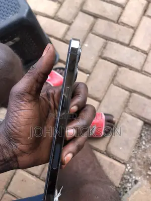 Apple iPhone 12 Pro Max 256 GB Black