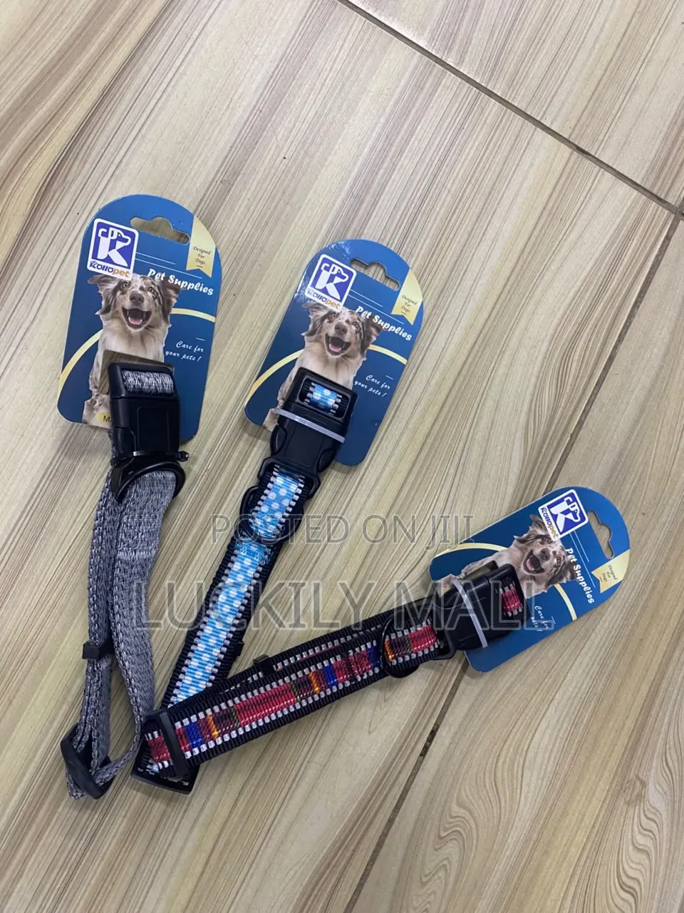 Dog Collar 2.5cm