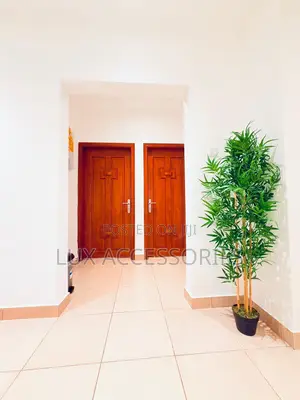 Furnished 2bdrm Apartment in Adjiriganor for rent