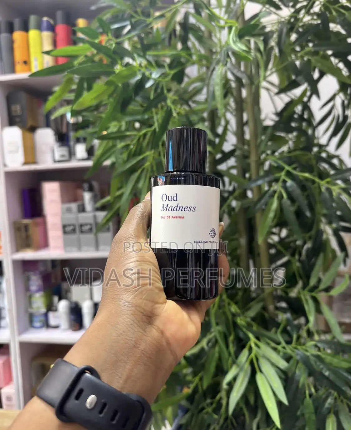 Oud Madness Perfume