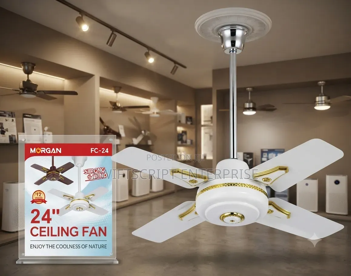 24 Inch Ceiling Fan