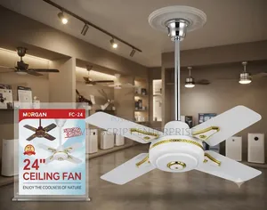 24 Inch Ceiling Fan