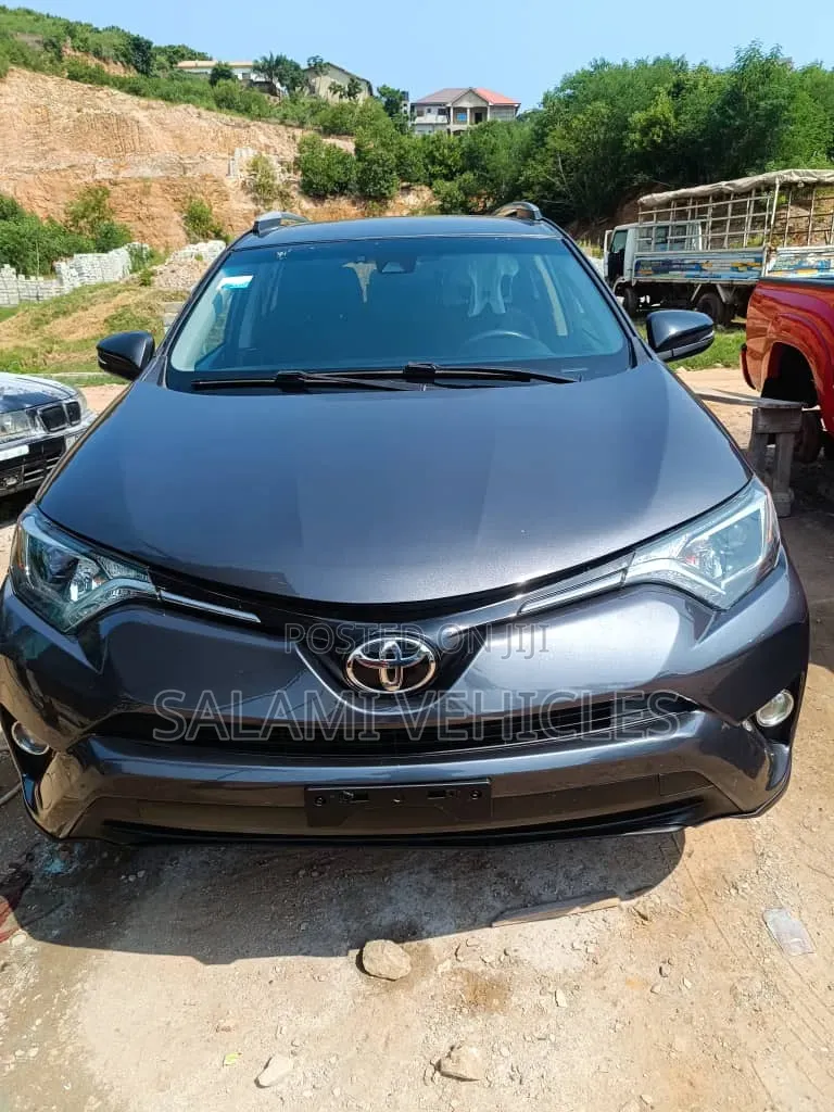 Toyota RAV4 2018 Gray