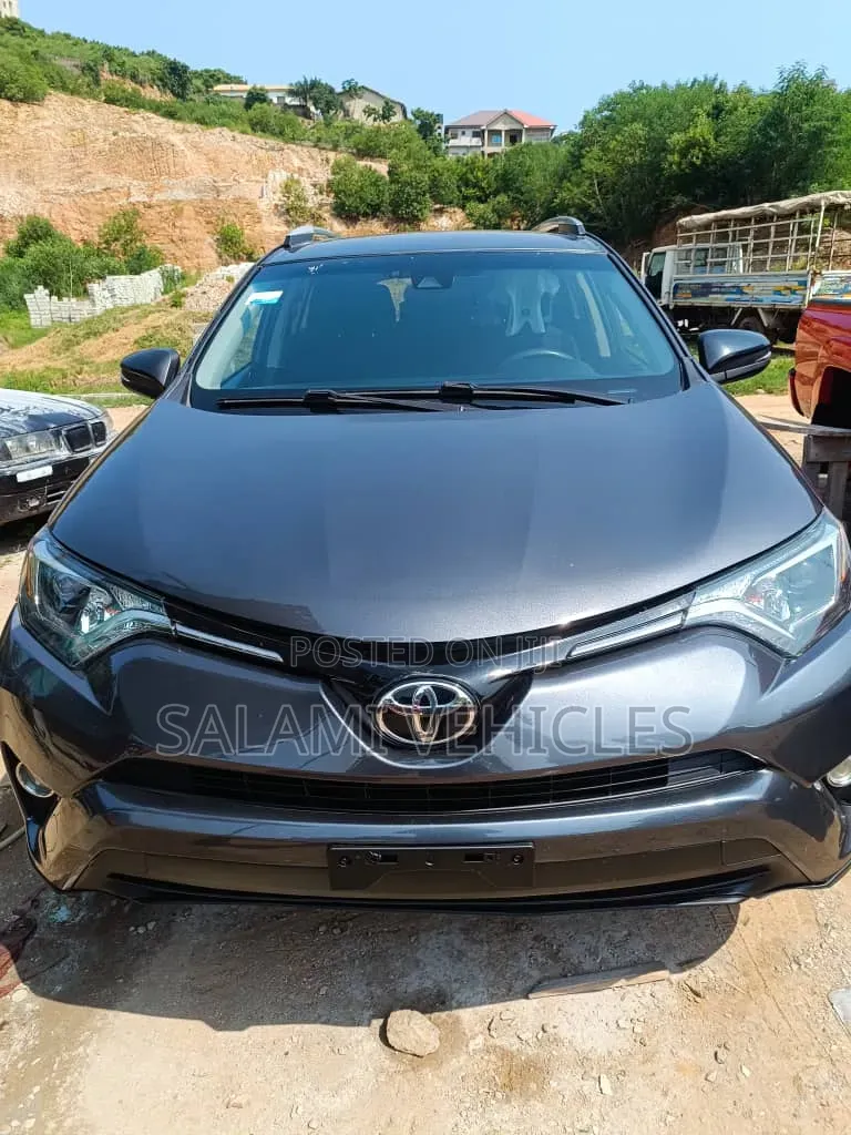 Toyota RAV4 2018 Gray