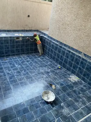 Good Professional Pool Tilling Master