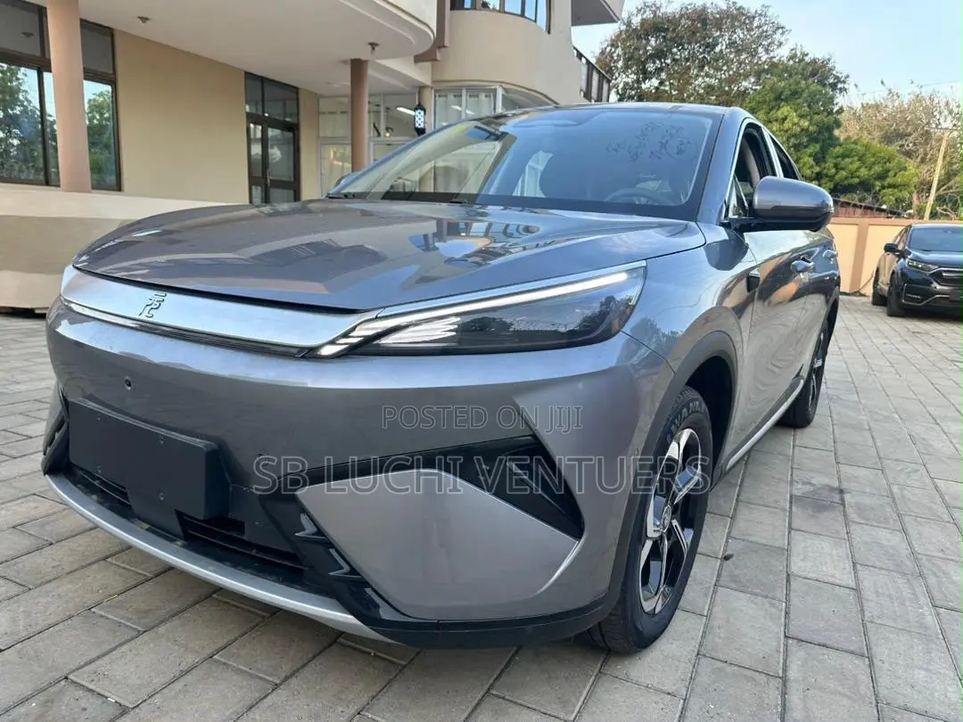 BYD Yuan Plus 2025 Gray