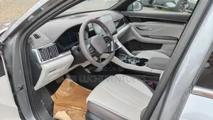 BYD Song Plus 2025 Gray