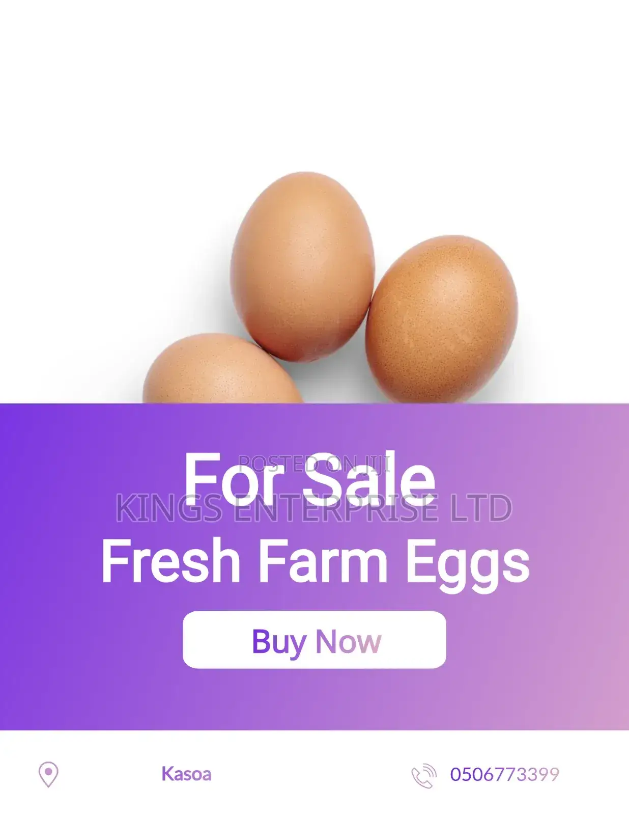 Eggs - Fresh, High Quality