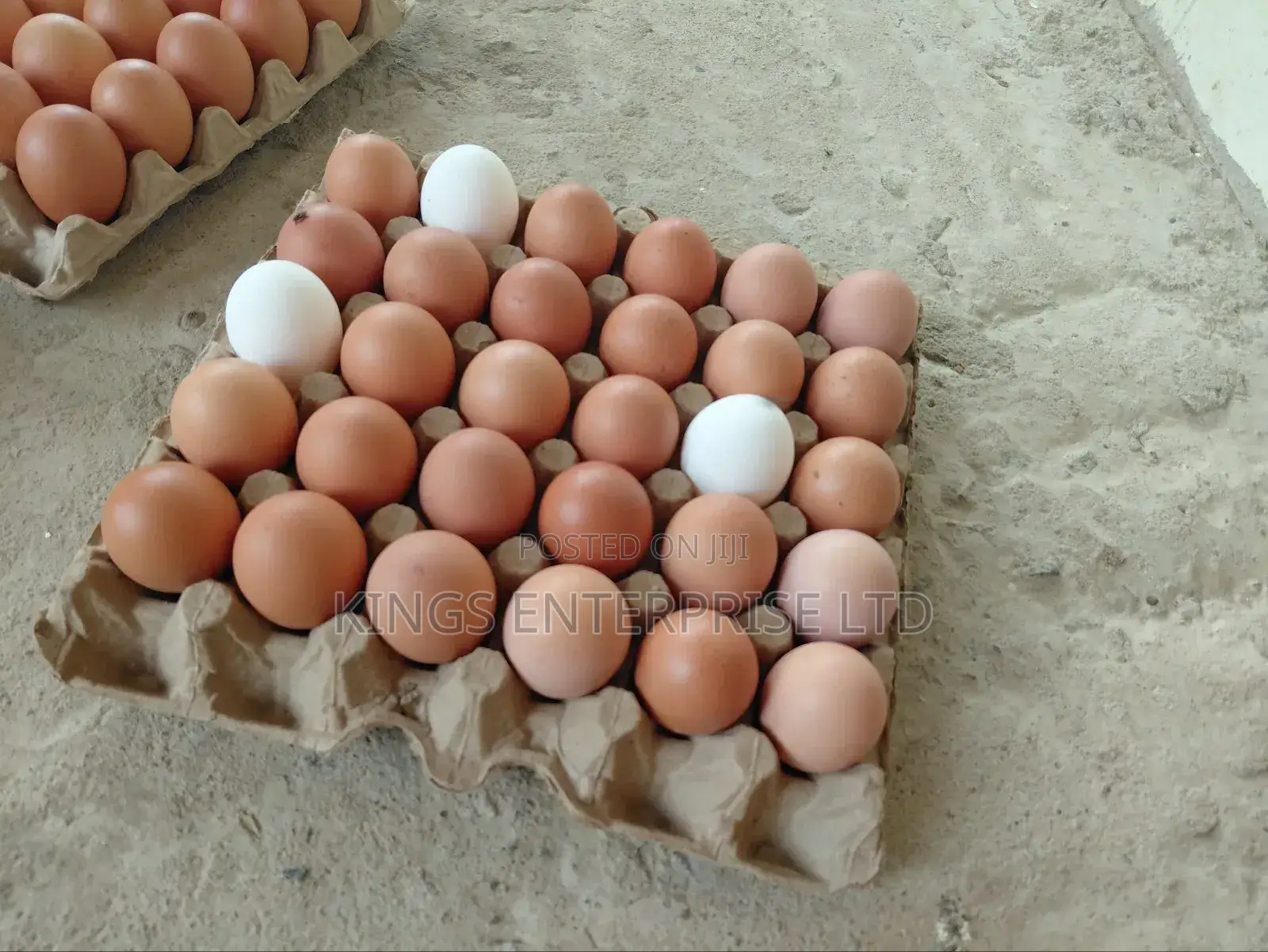 Eggs - Fresh, High Quality