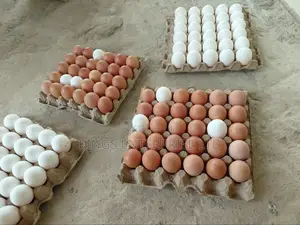 Eggs - Fresh, High Quality