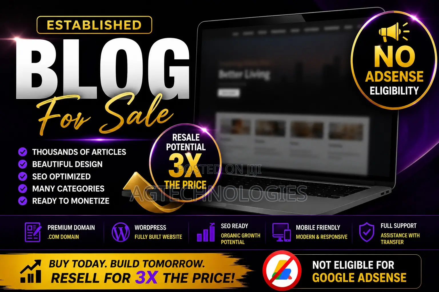 Established Ghana Blog Entertainment Website for Sale