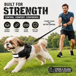 Reflective Vest Dog Harness Puppy