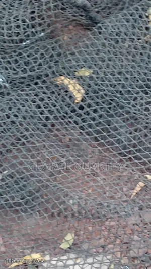 Trucks and Fish Pond Nets