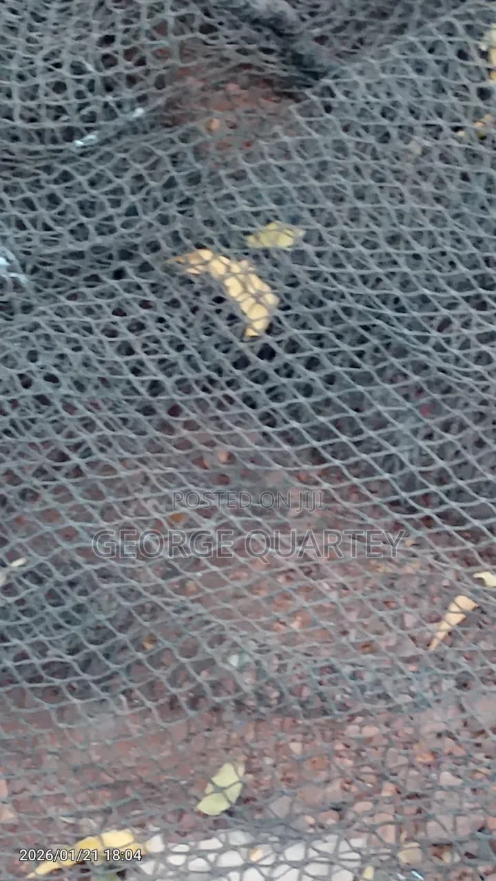 Trucks and Fish Pond Nets