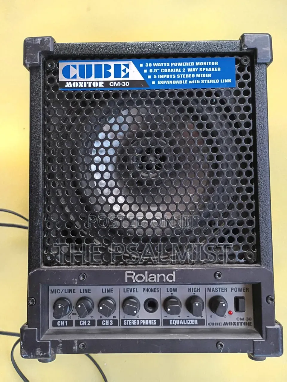 Roland Monitor CM-30