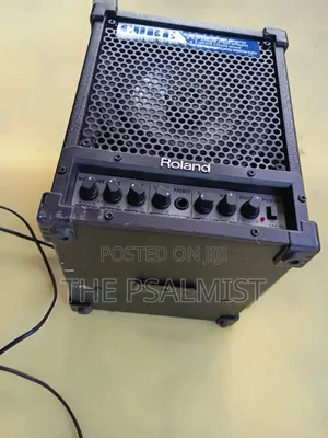 Roland Monitor CM-30