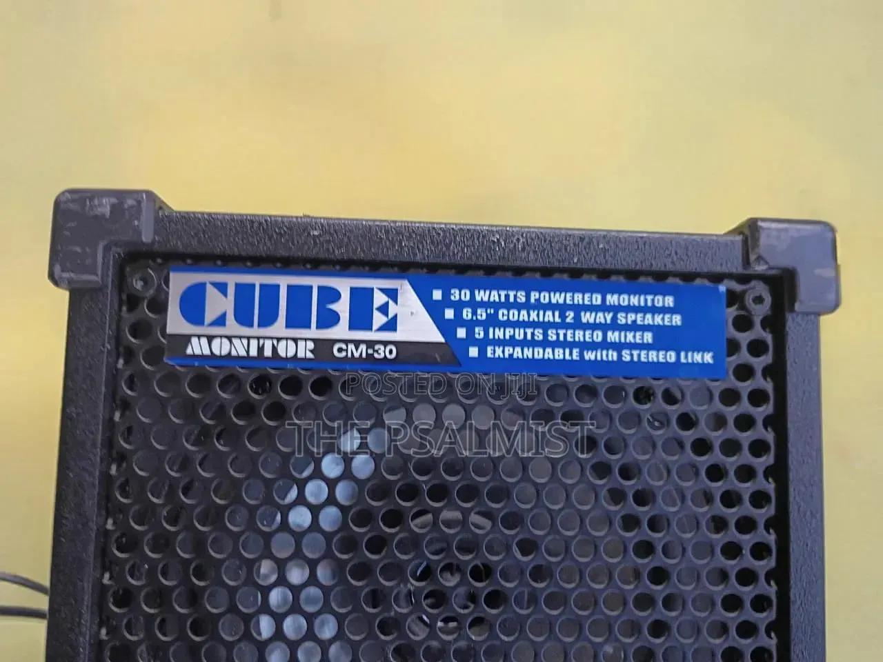 Roland Monitor CM-30