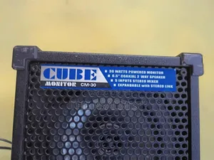 Roland Monitor CM-30