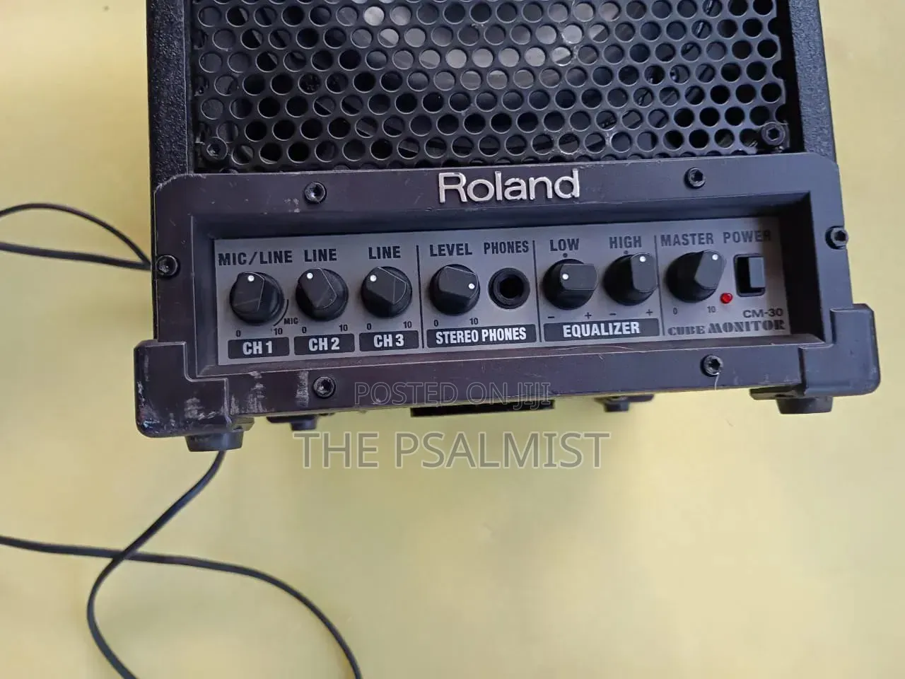 Roland Monitor CM-30