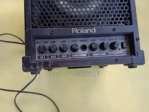 Roland Monitor CM-30