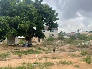 Land for Sale at Boubai Near the Police Station