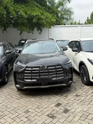 New GAC GS4 2025 Gray