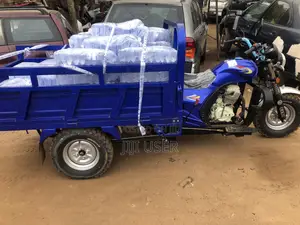 Tricycle Rider