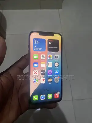 Apple iPhone 12 Pro Max 256 GB Blue