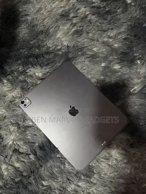 Apple iPad Pro 13 (2024) 512 GB Gray