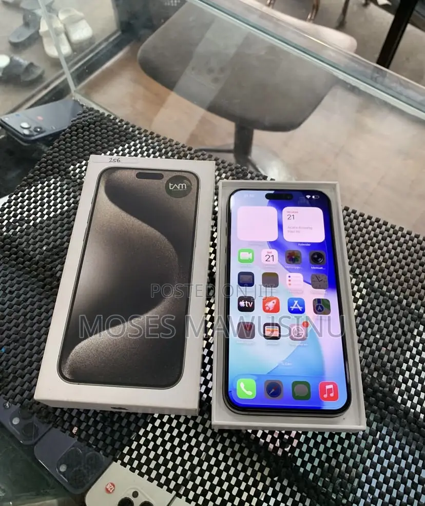Apple iPhone 15 Pro Max 256 GB Gray