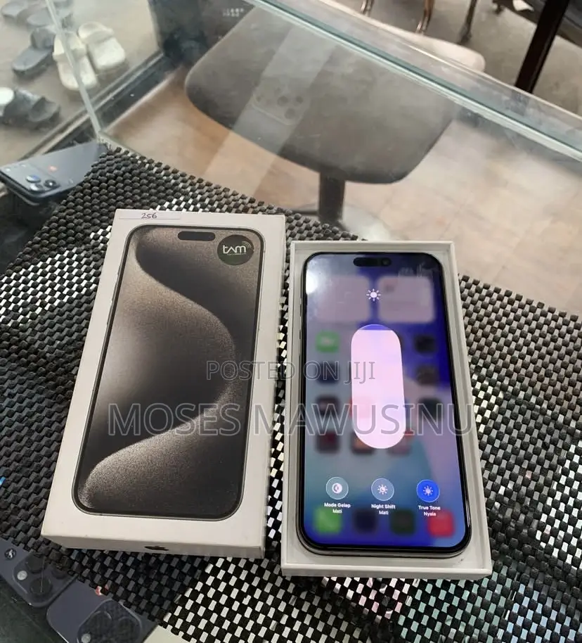 Apple iPhone 15 Pro Max 256 GB Gray