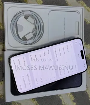 Apple iPhone 15 Pro Max 256 GB Gray