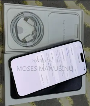 Apple iPhone 15 Pro Max 256 GB Gray