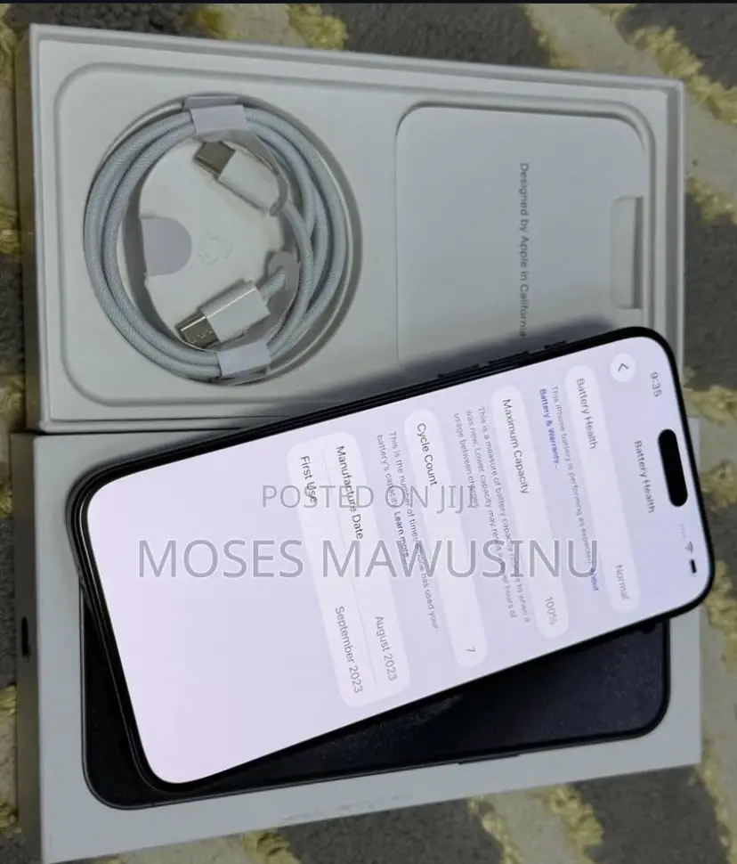 Apple iPhone 15 Pro Max 256 GB Gray