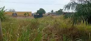 Titled Land for Sale (100/80) for Sale at Dodowa-Bawaleshie