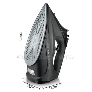 Electric Steam Iron
