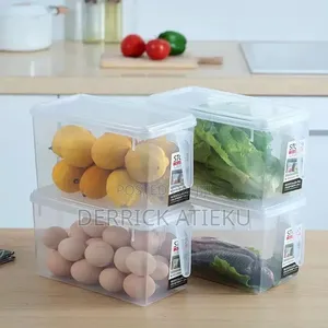 Fridge Storage Containers