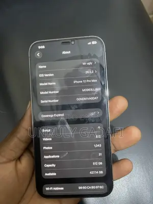 Apple iPhone 12 Pro Max 512 GB Gray