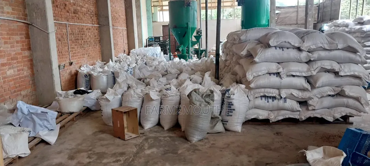 Poultry Feed All Kinds