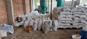 Poultry Feed All Kinds